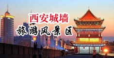 干死你啊啊哦哦视频中国陕西-西安城墙旅游风景区